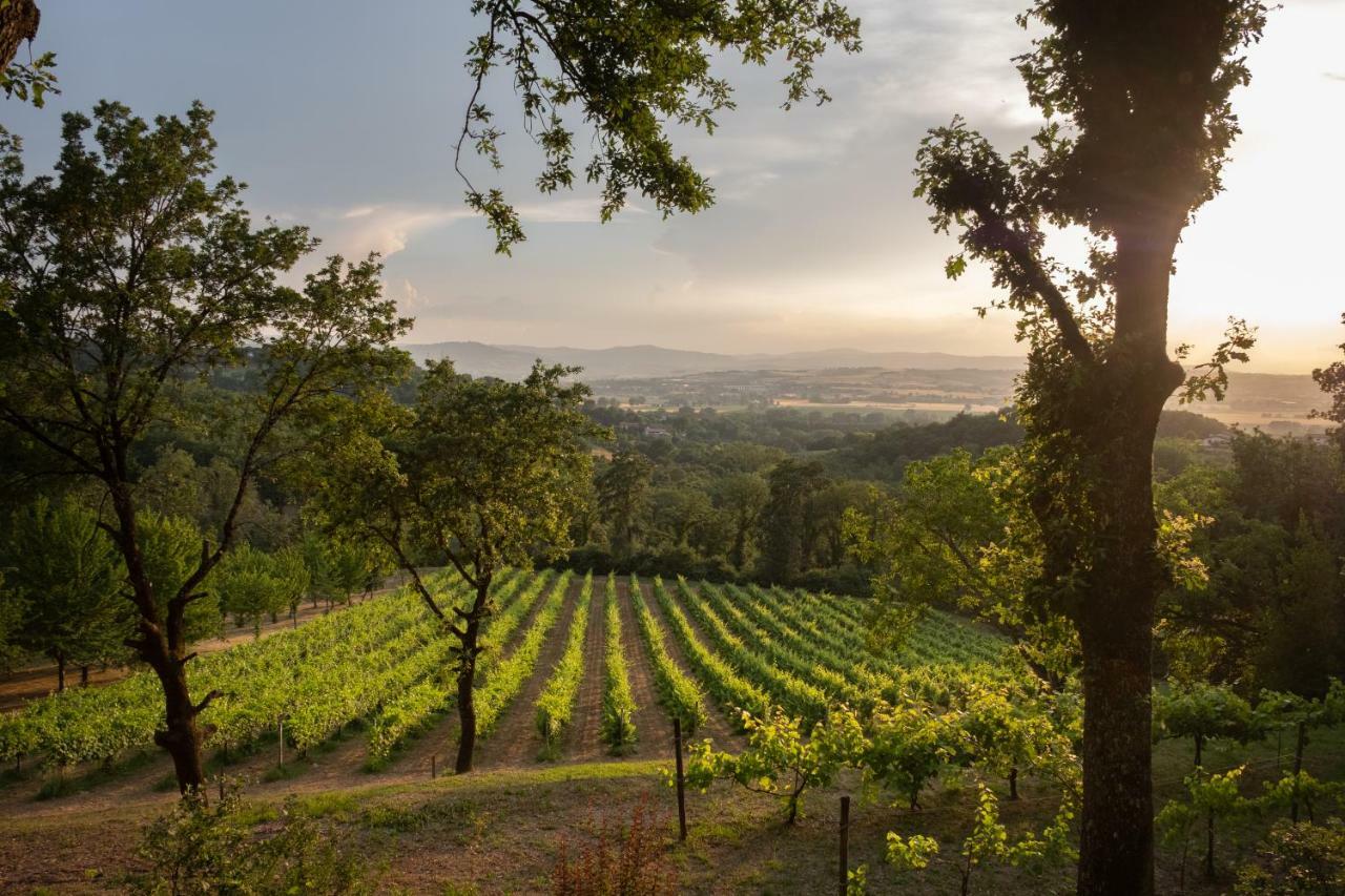 Agriturismo Le Cerque Collazzone Bagian luar foto