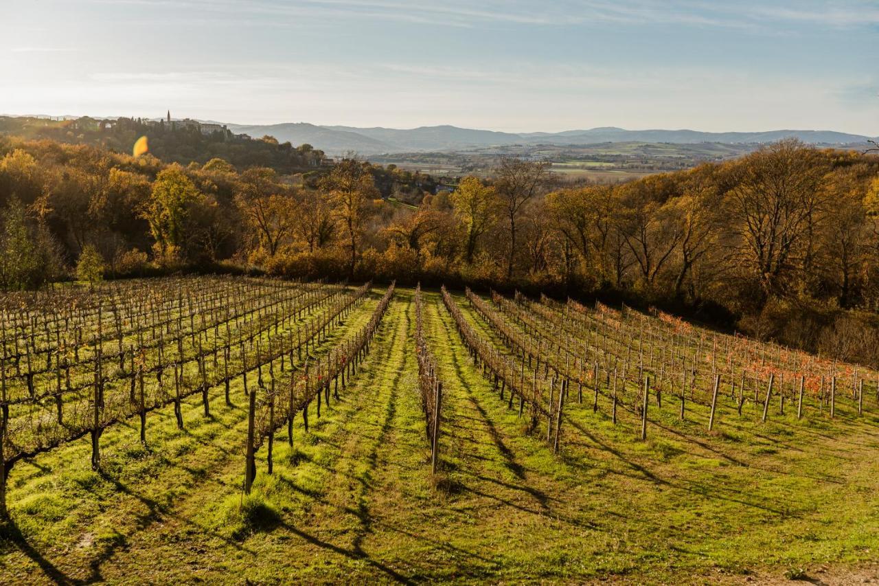 Agriturismo Le Cerque Collazzone Bagian luar foto