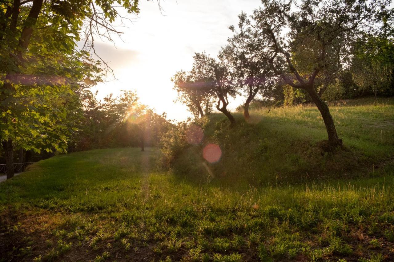 Agriturismo Le Cerque Collazzone Bagian luar foto